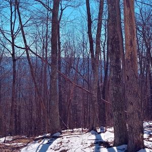 Meet your Posher, Fred